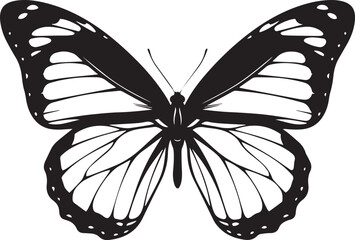 butterfly vector illustration