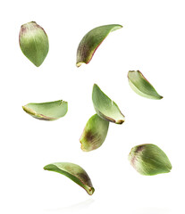 Fresh raw Artichoke falling in the air isolated on white background. High resolution image