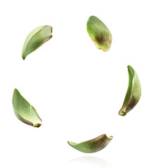 Fresh raw Artichoke falling in the air isolated on white background. High resolution image