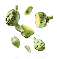 Fresh raw Artichoke falling in the air isolated on white background. High resolution image