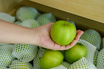 Green apple gently held in hand placed above white foam net fruits inside wooden crate in fruit store showing clean, fresh surface and healthy produce environment in natural indoor lighting.