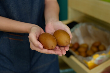 Closeup woman hands holding two ripe kiwi fruits in front of shelf filled with more tropical...