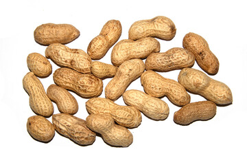 Shelled monkey nuts on white background peanuts