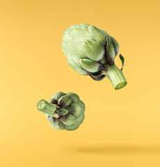 Fresh raw Artichoke falling in the air isolated on yellow background. High resolution image