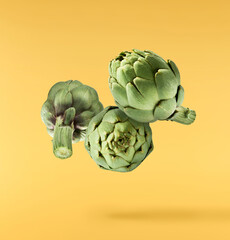 Fresh raw Artichoke falling in the air isolated on yellow background. High resolution image