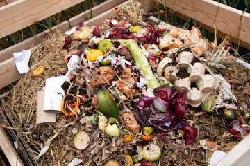 Top of a home made DIY compost box with fresh recycled fod and vegetables