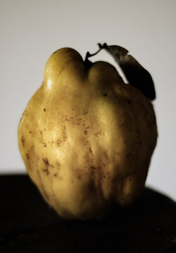 Coing fruit  gros plan jaune  feuille texture  portrait  nature 