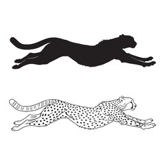 Watchful Alertness Echoed - Cheetah Visual - Solid Form and Delicate Line Detail Collection - Cheetah silhouette - Cheetah lineart - Cheetah vector - silhouette & lineart of Cheetah

