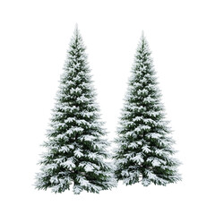 Obraz premium christmas tree isolated on white