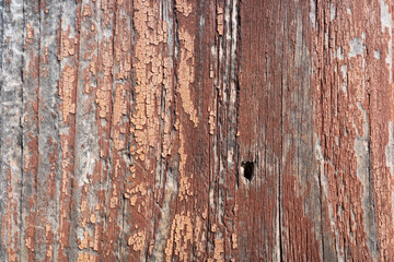 Close up of old, weathered wood with peeling, cracked paint creating a rustic texture.