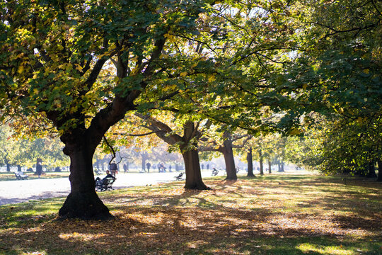Autumn in Hyde Park