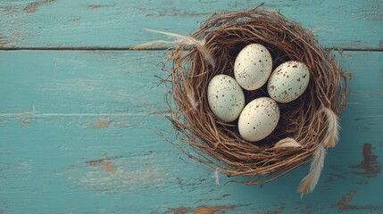 Eggs in a Nest on Blue Wall