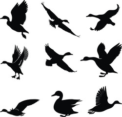 Duck Silhouette Vector 