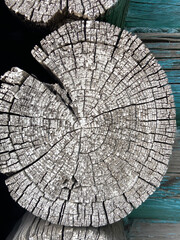 log, tree section, log, tree rings, annual rings, annual layers, background, texture, roughness,...