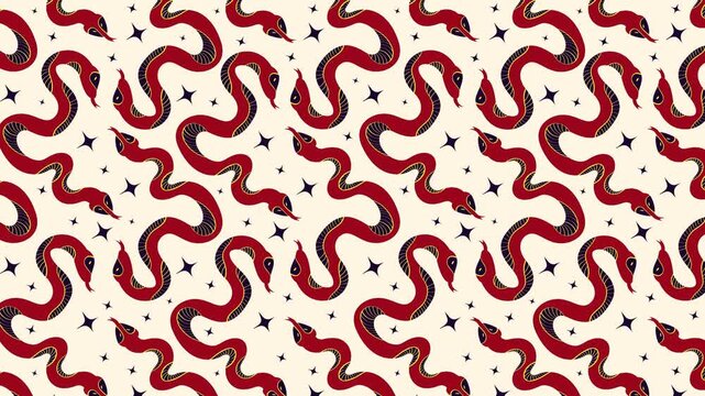 Pattern with Magic Mystical snakes. Horizontal video