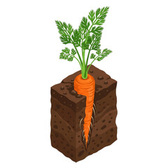 Carrot growing from a soil cube, symbolizing agriculture and sustainable food.