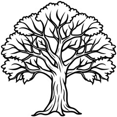 Obraz premium Banyan line art vector