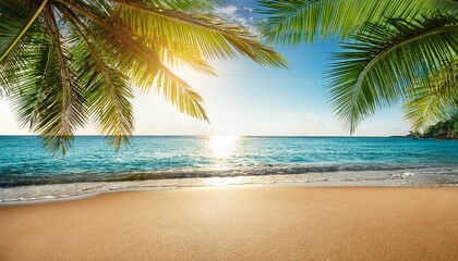 summer sand beach with tropical sea palm leaves and sunlight in the background