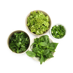 Different aromatic herbs in bowls isolated on white, top view