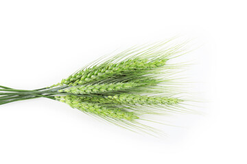 Many green wheat spikes isolated on white, top view