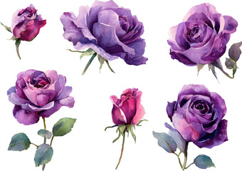 Fototapeta premium bouquet of pink roses