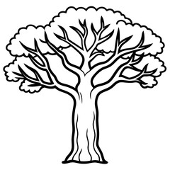 Baobab line art vector