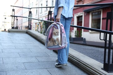 Woman with her cute cat in backpack carrier on city street, closeup