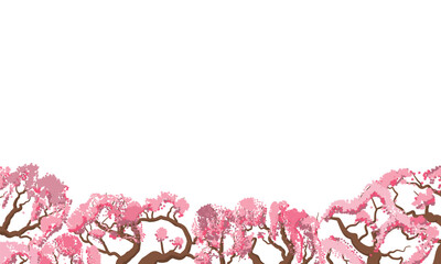 Pink cherry blossom trees create a beautiful border on a white background, perfect for spring designs