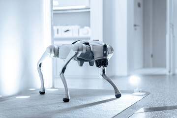 Robotic cyber dog on the plain background.