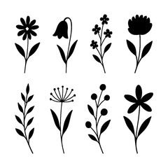 Floral and botanical silhouettes in simple black flat style, Transparent Background