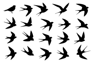 Flying swallow bird silhouettes in various poses, Transparent Background