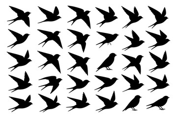Flying swallow bird silhouettes in various poses, Transparent Background