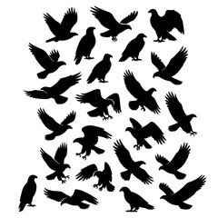 Flying and perched vultures in various poses as bold black silhouettes, Transparent Background