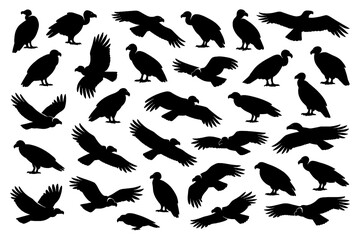Flying and perched vultures in various poses as bold black silhouettes, Transparent Background