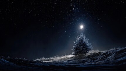 Naklejka premium Snowy Christmas tree under starry night