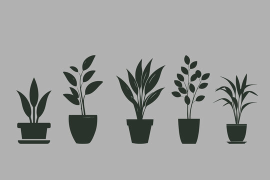 shablon, Vector Image of Flowers in Pots
