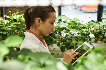 Young Caucasian woman using digital tablet while monitoring plants in greenhouse, focusing on...