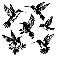 Fototapeta premium set of silhouettes of summer season Hummingbirds with white background.