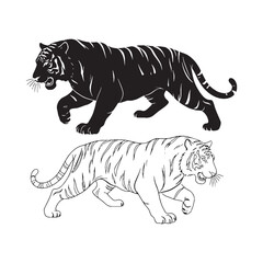 Distinctive Markings Highlighted - Tiger Graphic Study - Striking Silhouette and Refined Lineart Art Set - Tiger silhouette - Tiger lineart - Tiger vector - vector set of Tiger

