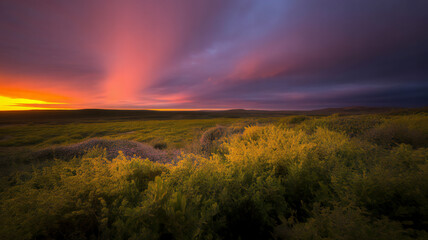 Dramatic sunset with vibrant crepuscular rays illuminating a vast rolling landscape of autumn foliage and distant hills