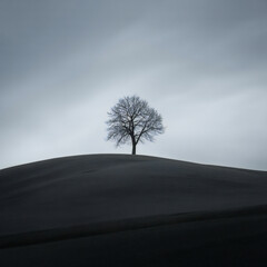 Solitary bare tree stands silhouetted against a moody overcast sky atop a dark rolling hill