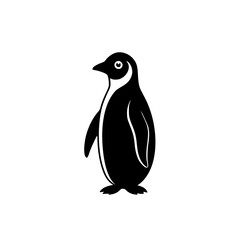 Fototapeta premium penguin on a white background