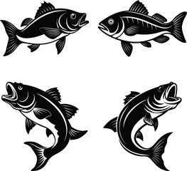 Fish silhouettvector illustration of a fish, fish silhouette vector, fish logo vector, fish vector icon, fish silhouette vector isolated on white background
e vector bundle
