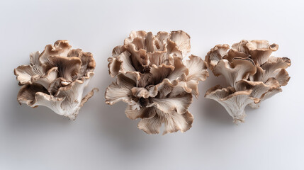 舞茸, きのこ, 食材, 野菜, クローズアップ, 背景, 食品, 新鮮, 自然, 健康, 秋, 森
