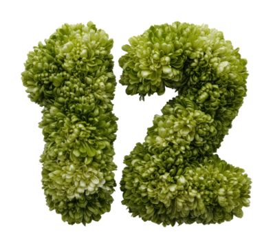 Floral number twelve arrangement decorative plants creative display isolated on transparent background