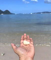 A hand holds a single seashell, capturing a moment of discovery against a serene beach and ocean backdrop with distant islands under a clear blue sky.