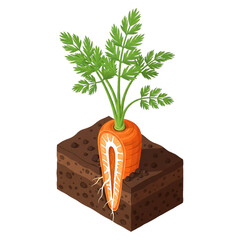 Carrot growing in soil cube, symbolizing farming and eco growth.