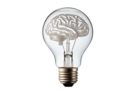 A lightbulb with a brain inside