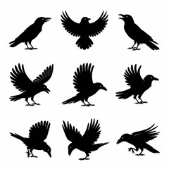 Obraz premium eagle silhouettes set