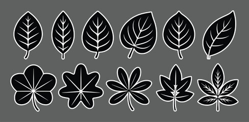 Black leaf silhouettes detailed veins varied shapes nature collection vector white